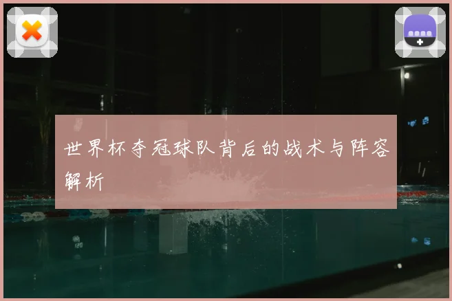 世界杯夺冠球队背后的战术与阵容解析