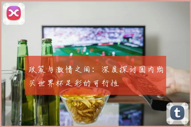 政策与激情之间:深度探讨国内购买世界杯足彩的可行性