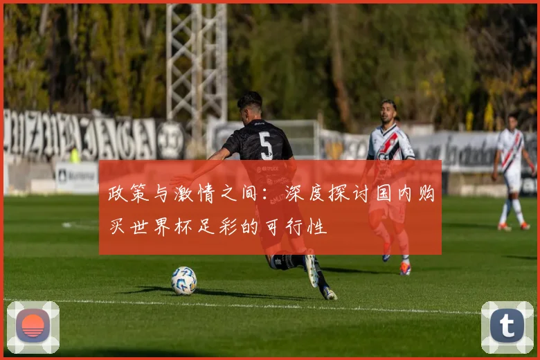政策与激情之间:深度探讨国内购买世界杯足彩的可行性
