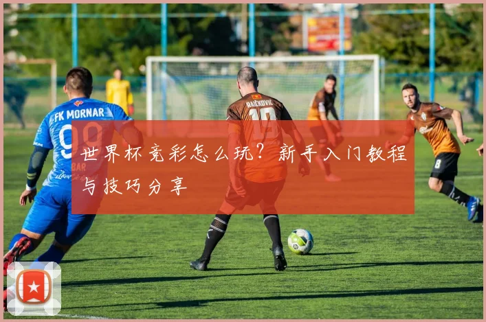 世界杯竞彩怎么玩？新手入门教程与技巧分享