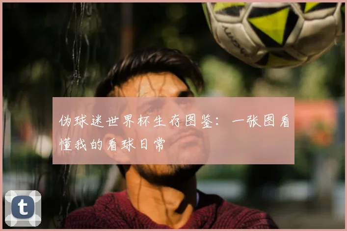 伪球迷世界杯生存图鉴：一张图看懂我的看球日常