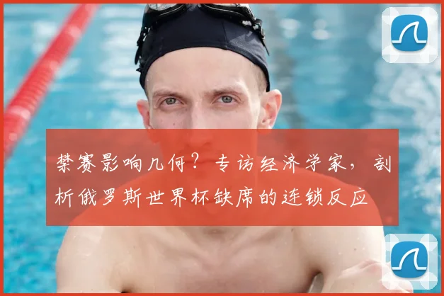 禁赛影响几何?专访经济学家,剖析俄罗斯世界杯缺席的连锁反应
