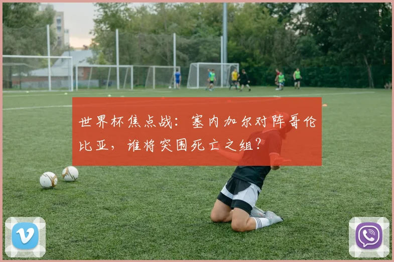 世界杯焦点战：塞内加尔对阵哥伦比亚，谁将突围死亡之组？