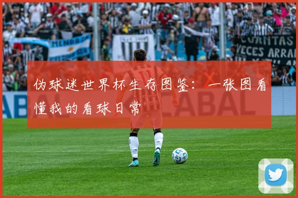 伪球迷世界杯生存图鉴:一张图看懂我的看球日常