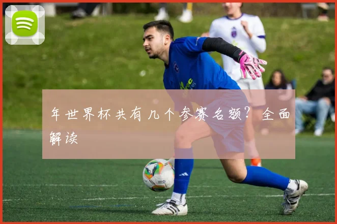 年世界杯共有几个参赛名额?全面解读