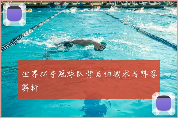 世界杯夺冠球队背后的战术与阵容解析