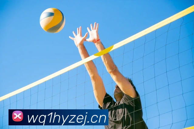 星空网页版官方入口APP 封面图